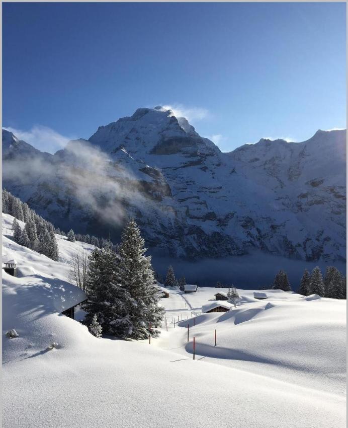 Sonnenberg Dormitories Mürren Buitenkant foto