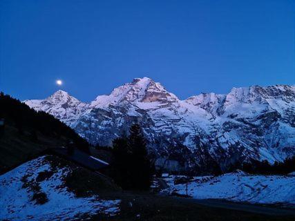 Sonnenberg Dormitories Mürren Buitenkant foto