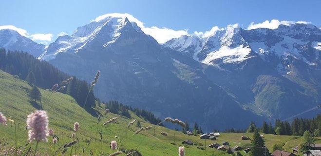 Sonnenberg Dormitories Mürren Buitenkant foto