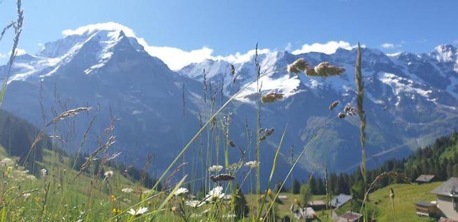 Sonnenberg Dormitories Mürren Buitenkant foto